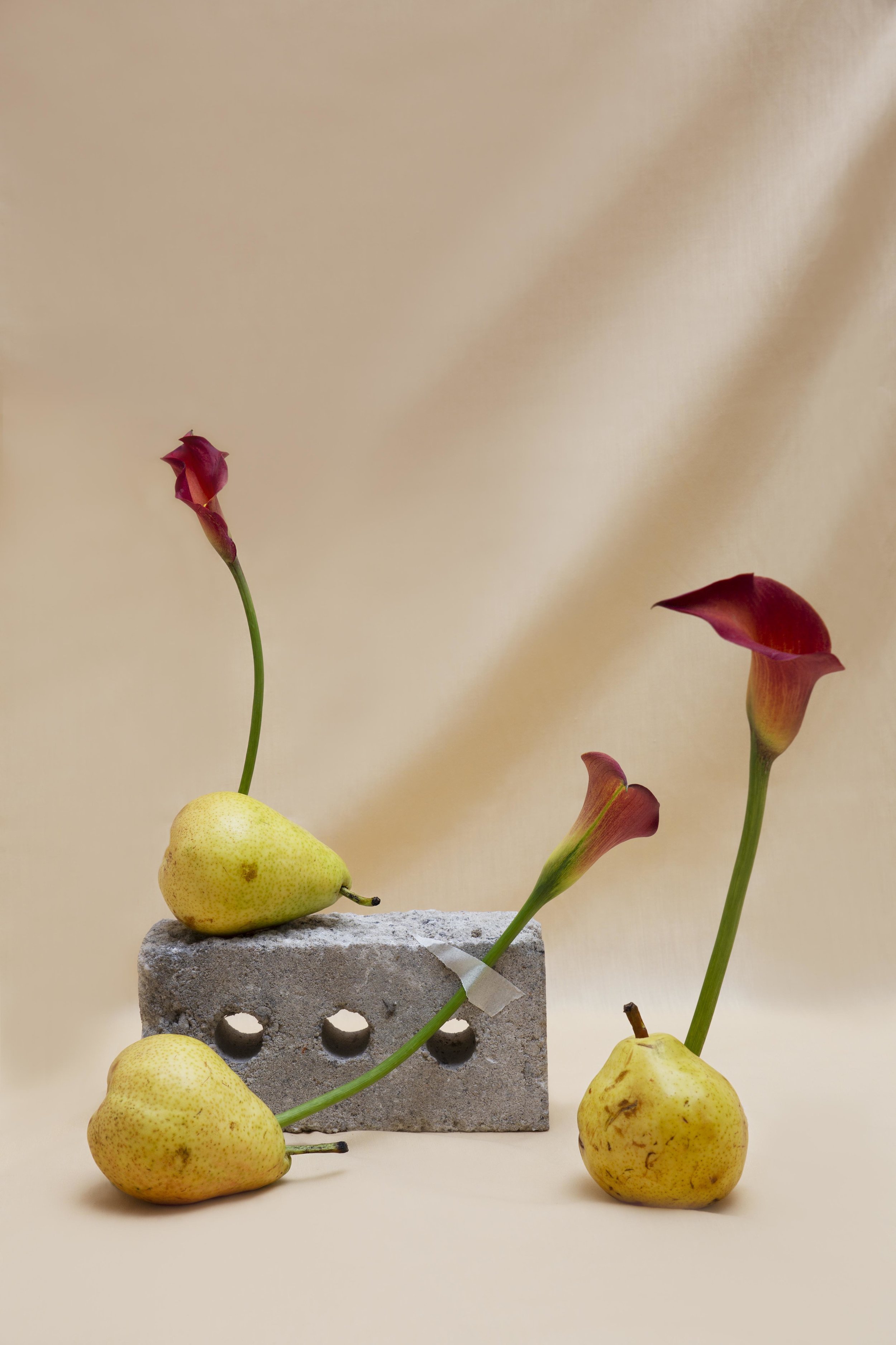 Fruits&Flowers-5web.jpg