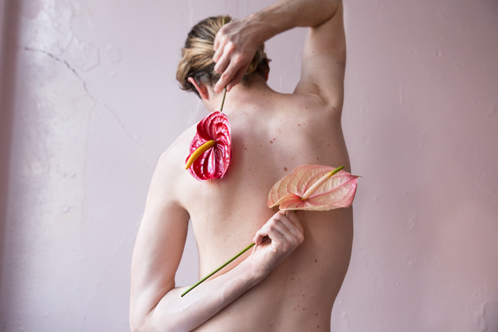 Orchids.jpg